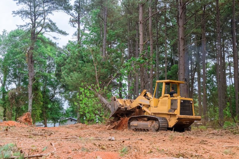 Timing for Land Clearing