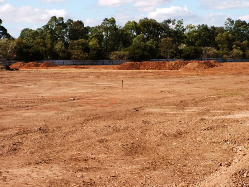 Consult Professionals